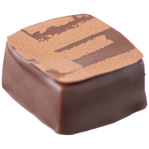 Praliné noisette aux éclats de noisettes grillées, enrobé de chocolat au lait 41% de cacao.